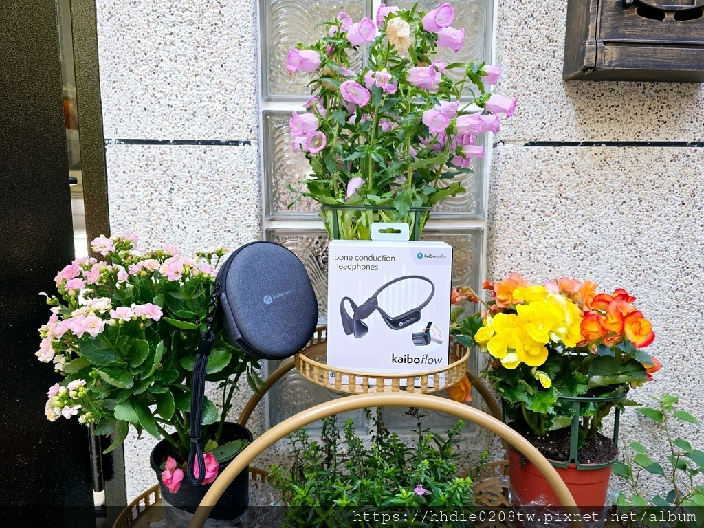 MEITU_20250228_112418006.jpg