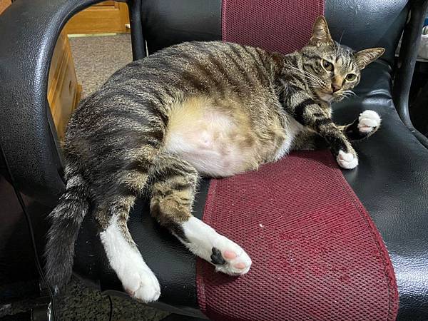 托比_200414_0032 托比_200414_0032