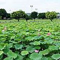 成蘆橋-浮洲橋2012_05_30_DSC00106