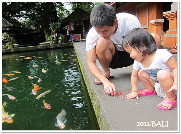 0111-51-TIRTA EMPUL.jpg