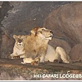 SAFARI-58.jpg