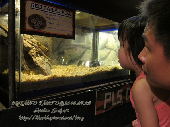 subic trip-20130725-6-zoobic safari.jpg