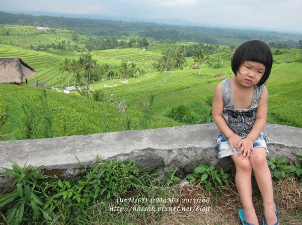 D7-42-Jatiluwih rice terrace.jpg