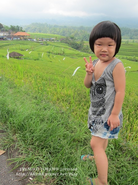 D7-44-Jatiluwih rice terrace.jpg