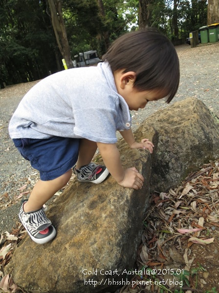 20150118-黃金海岸-Lamington National Park-30.jpg