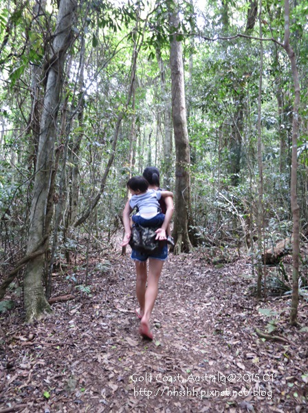 20150118-黃金海岸-Lamington National Park-39.jpg