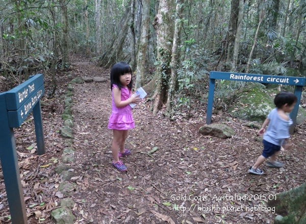 20150118-黃金海岸-Lamington National Park-43.jpg