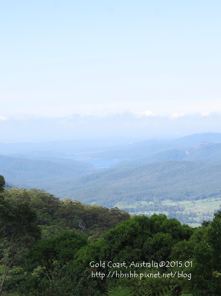 20150118-黃金海岸-Lamington National Park-57.jpg