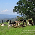 20150118-黃金海岸-Lamington National Park-64.jpg