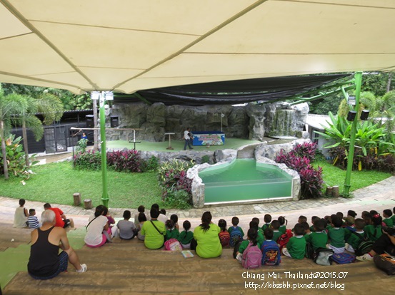 20150723-8-chiang mai zoo.jpg