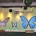 宜蘭綺麗觀光工廠-綺麗蝴蝶藝術館 (4).jpg