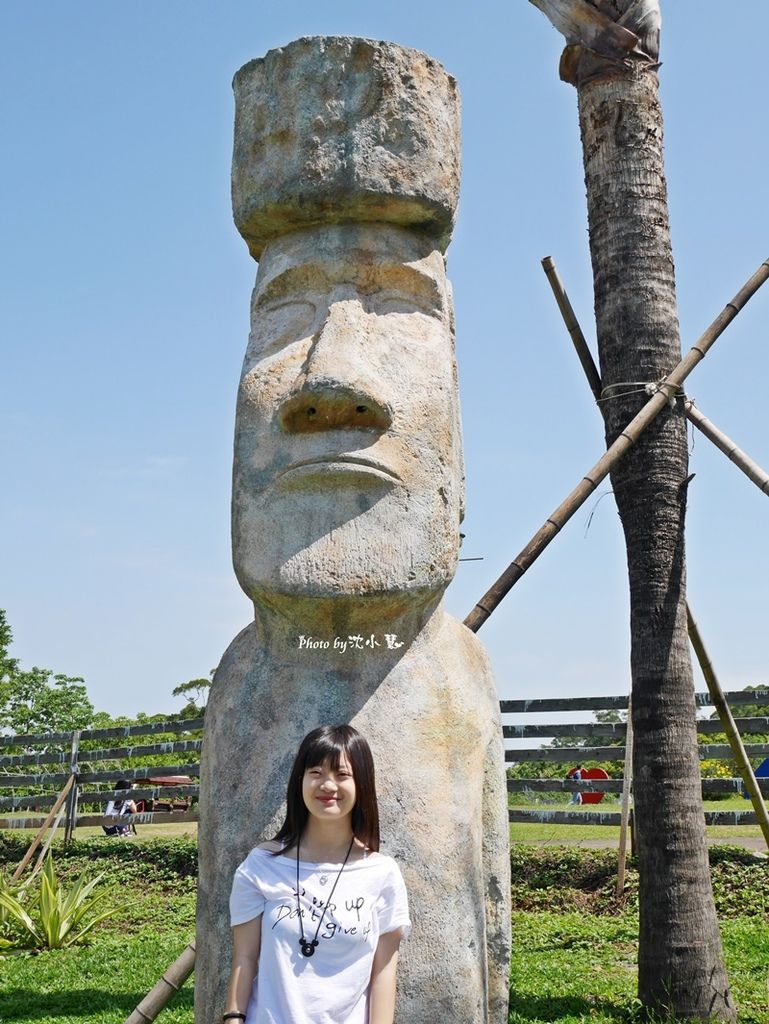 花海梵谷主題餐廳(原大溪花海農場) (15).jpg