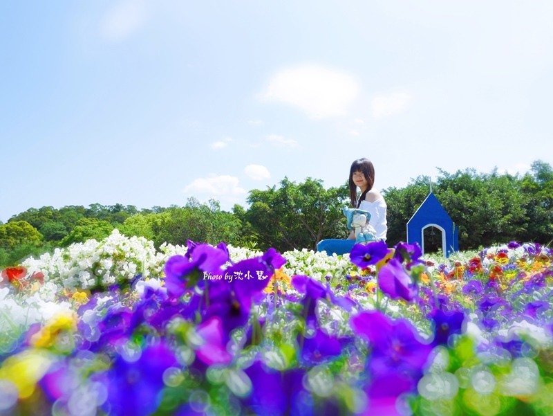 花海梵谷主題餐廳(原大溪花海農場) (24).jpg