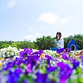 花海梵谷主題餐廳(原大溪花海農場) (24).jpg