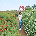 花海梵谷主題餐廳(原大溪花海農場) (45).jpg