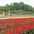 花海梵谷主題餐廳(原大溪花海農場) (93).jpg