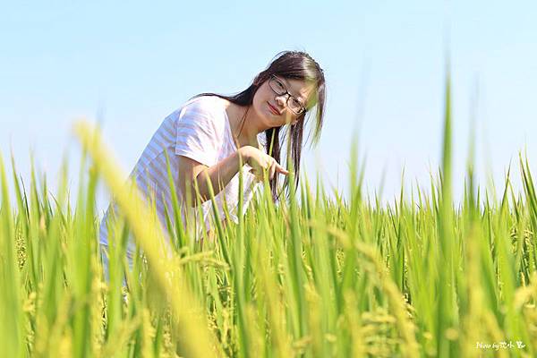 宜蘭三奇村伯朗大道 (20).jpg