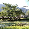 內灣親水公園 (15).jpg