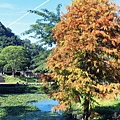 內灣親水公園 (19).jpg