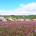 秀湖花海 (31).jpg