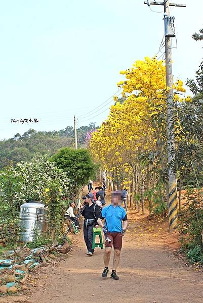 新埔鎮上樟路一段、巨埔農場 (8).jpg