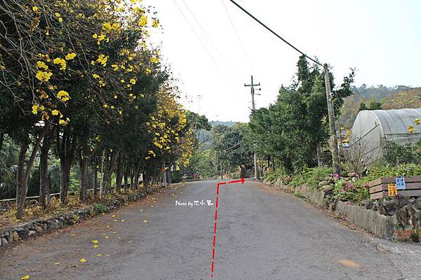 新埔鎮上樟路一段、巨埔農場 (27).jpg