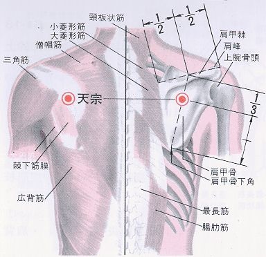 tianzong(j%26;a).jpg