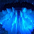 IMAG0230.jpg
