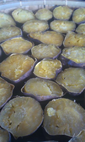 IMAG0155.jpg