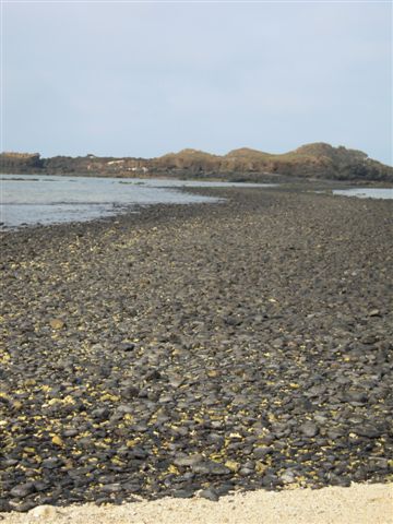 DSCN1601.jpg