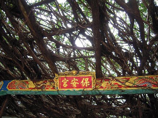 DSCN1397.jpg