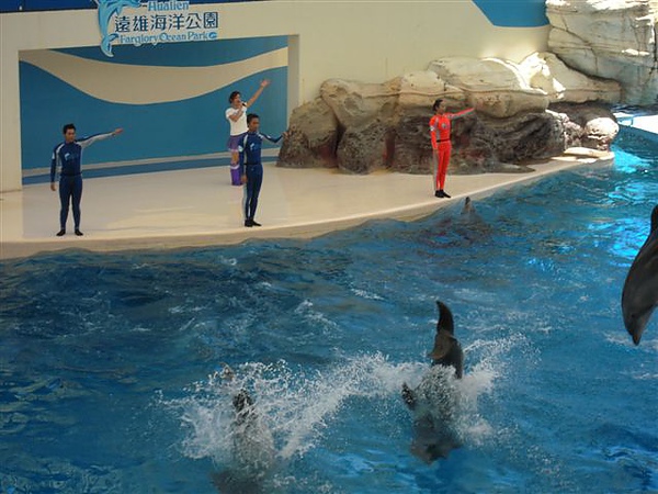 DSCN2081.jpg