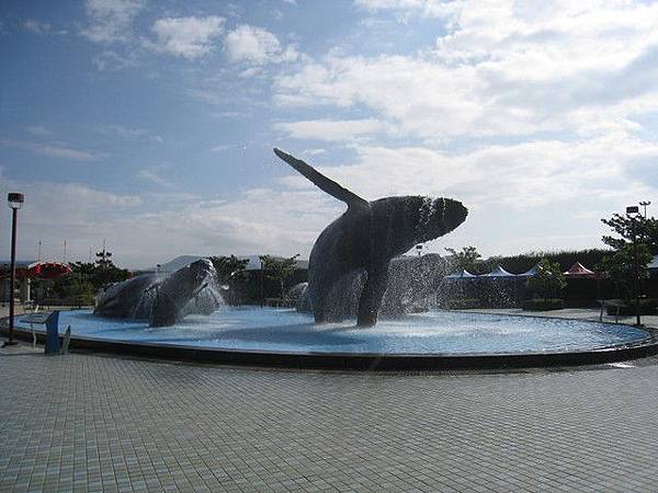 海洋生物博物館