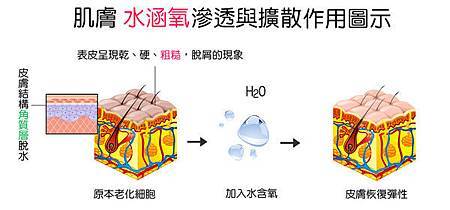 杏仁酸 光纖粉餅雷射 痘痘 凹疤 水涵養 微晶瓷晶亮瓷 墊下巴 隆鼻 玻尿酸 淚溝 蘋果肌 電波拉皮 初老症狀 維納斯曲線電波 標靶震波溶脂-02-1