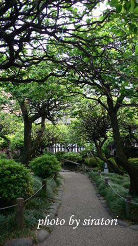 湯島神社