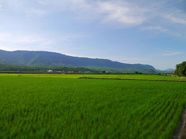 1020816 台東之旅646.JPG