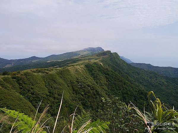 1040228 桃源谷步道058-wm.JPG