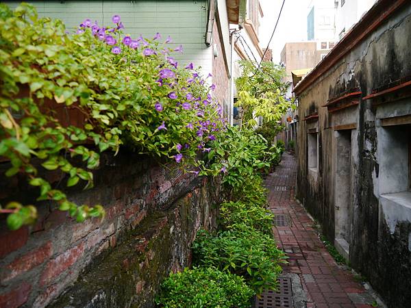 1040927 台南中秋連假輕旅行188.JPG 1040927 台南中秋連假輕旅行188.JPG