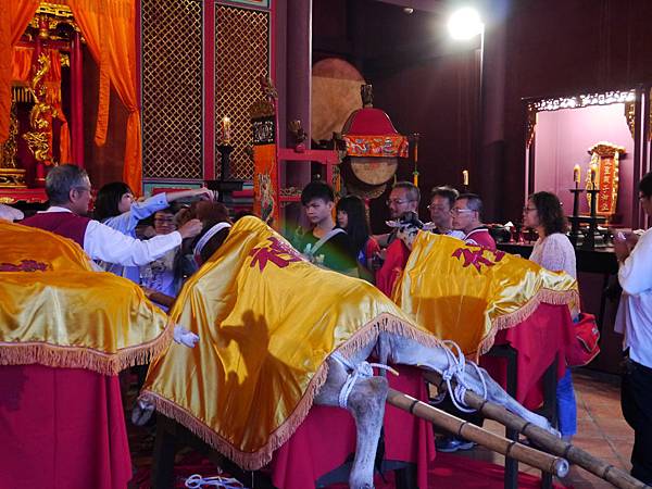 1040927 台南中秋連假輕旅行217.JPG 1040927 台南中秋連假輕旅行217.JPG