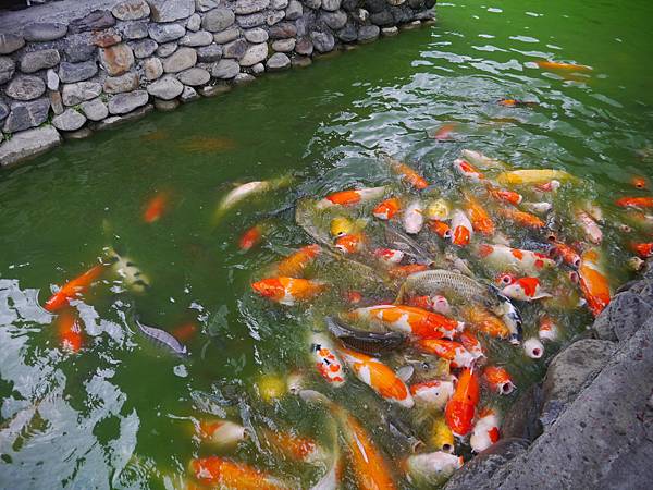 1050715 彰化南投之旅229.JPG