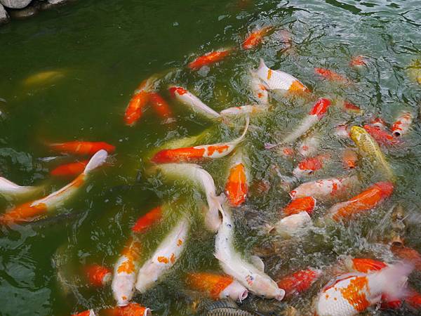 1050715 彰化南投之旅230.JPG