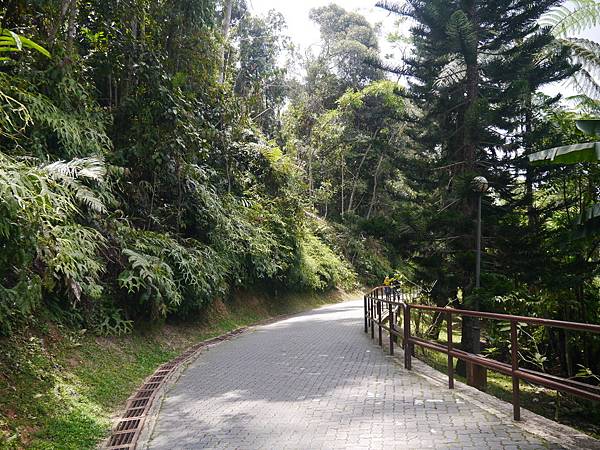 1050330 馬來西亞之旅152.JPG 1050330 馬來西亞之旅152.JPG