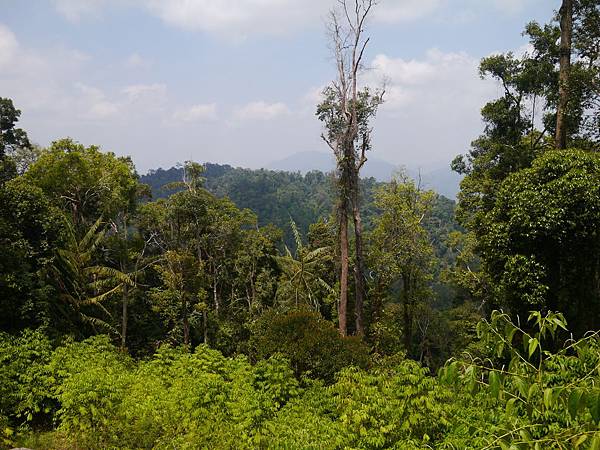 1050330 馬來西亞之旅153.JPG 1050330 馬來西亞之旅153.JPG