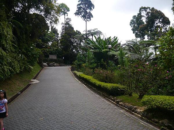 1050330 馬來西亞之旅154.JPG 1050330 馬來西亞之旅154.JPG