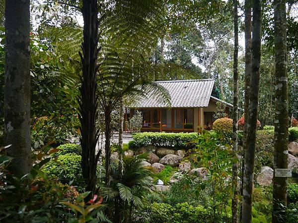 1050330 馬來西亞之旅159.JPG 1050330 馬來西亞之旅159.JPG