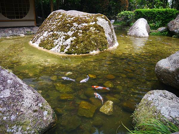 1050330 馬來西亞之旅178.JPG 1050330 馬來西亞之旅178.JPG