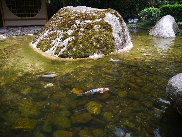 1050330 馬來西亞之旅181.JPG 1050330 馬來西亞之旅181.JPG