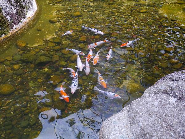 1050330 馬來西亞之旅186.JPG 1050330 馬來西亞之旅186.JPG