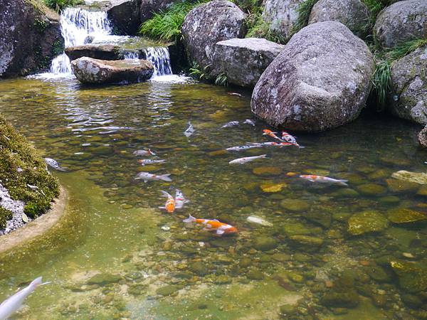 1050330 馬來西亞之旅189.JPG 1050330 馬來西亞之旅189.JPG