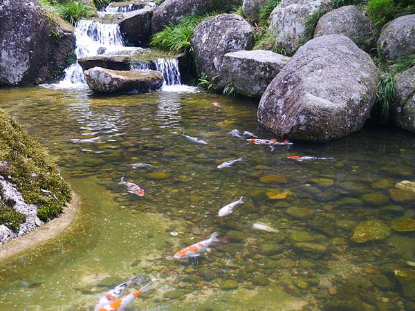 1050330 馬來西亞之旅190.JPG 1050330 馬來西亞之旅190.JPG